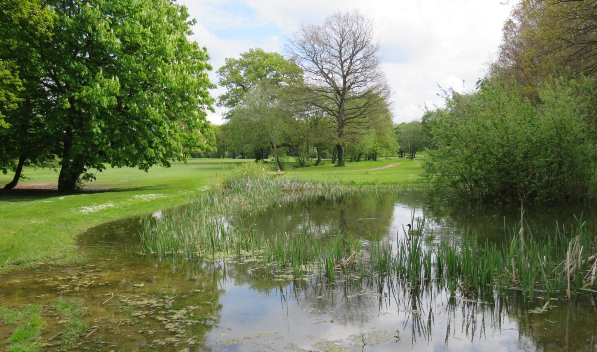 Manor Of Groves Hotel, Golf & Health Club Hotel 3*